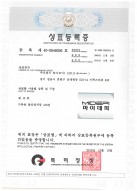 Certificate of Trademark Registration MIDEPI